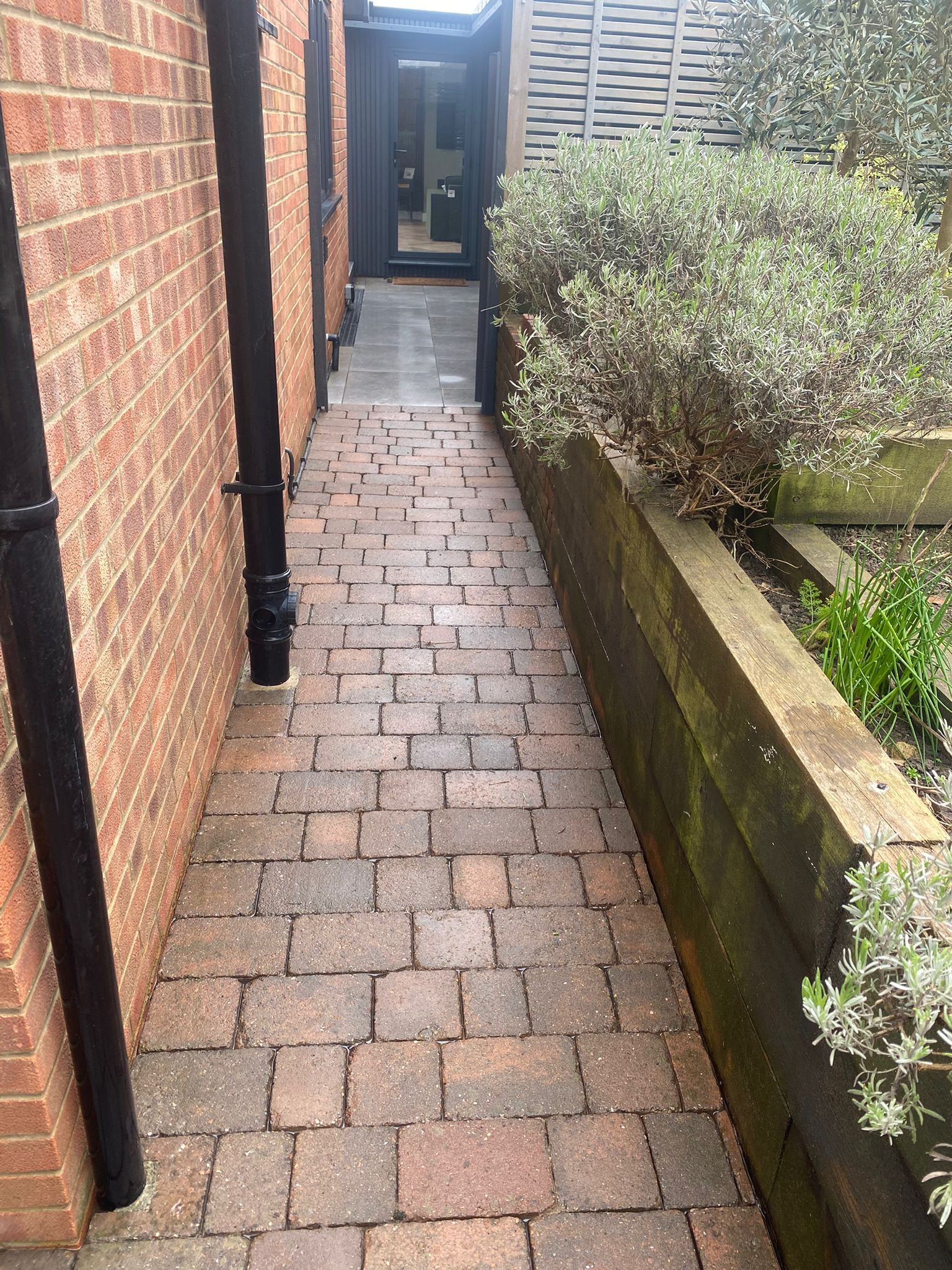 Path cleaning, Silverclean UK, Maidstone, Kent, Southeast